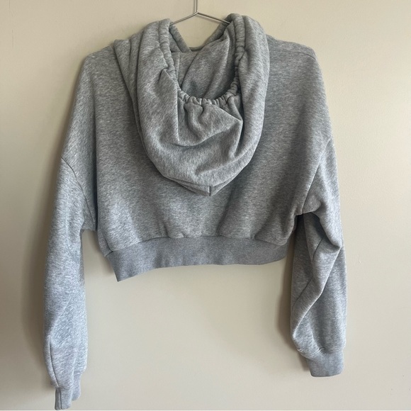 Aritzia TNA The Super Crop Hoodie in Grey - Picture 2 of 8